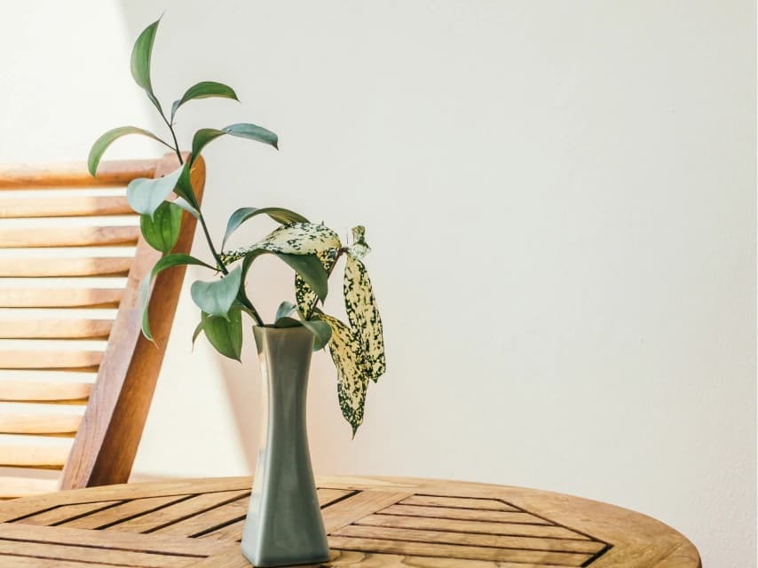 feature post