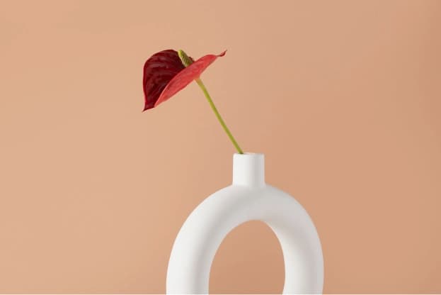 latest-post